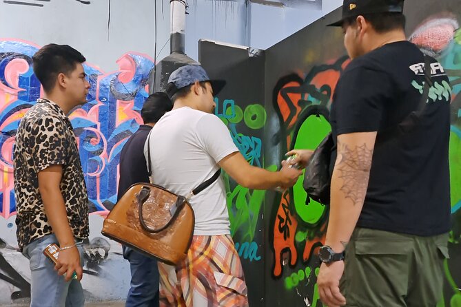 Tour Evolution of Muralism paints your Grafiti - Tips to Make the Most of Every Stop