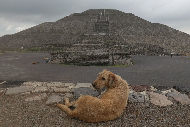 Tour to Teotihuacan from CDMX with entrances included - Pickup at Parque Mexico/Condesa: start easy, end back where you began
