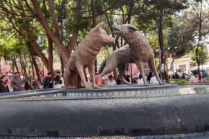 Tour to Xochimilco and Coyoacan and Frida Khalo - 7 Hours Across Xochimilco and Coyoacán: The Real-World Value
