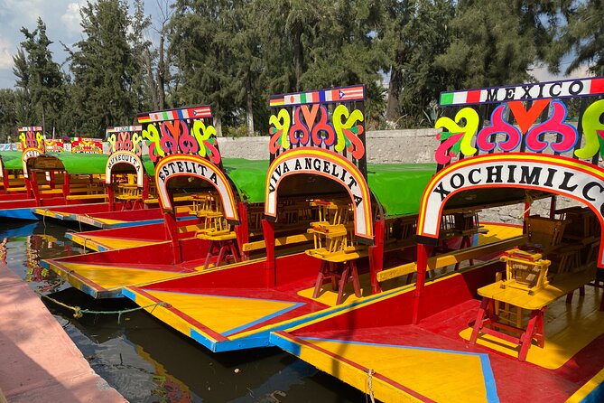 Trajinera Party at Xochimilco with Drinks, Mariachi & Snacks - The Canal Cruise: What You’re Actually Seeing During Those Two Hours