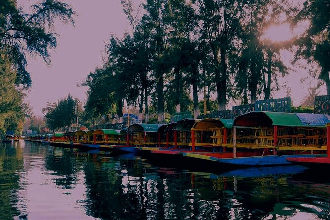 Trajinera Party at Xochimilco with Drinks, Mariachi & Snacks - The Value Question: Is $47 Worth It for 2 Hours 15 Minutes?