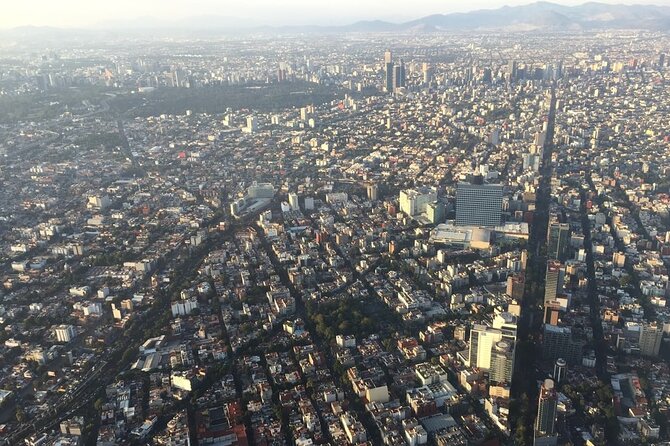 Transfer & assistance one-way from/to Mexico City Airport/hotel - Pickup at MEX: Where the Sign and Timing Actually Matter