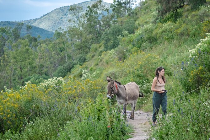 Unique cablecar experience, pulque tasting &unbeatable views - Pulque tasting: what to expect and how to make it comfortable