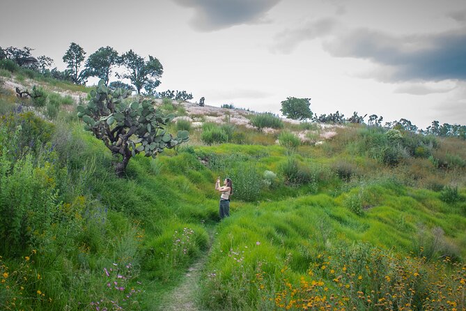 Unique cablecar experience, pulque tasting &unbeatable views - The hike and steep steps: small effort, big reward