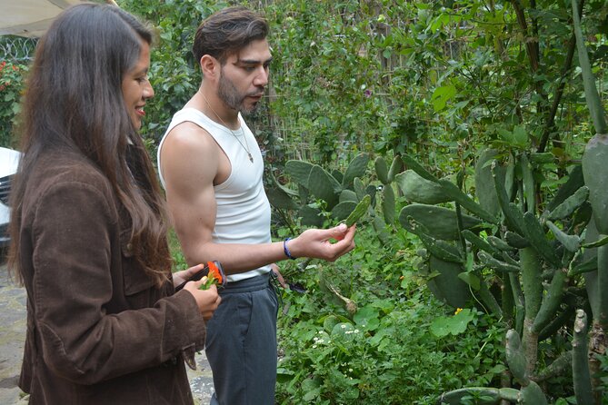 Urban Orchard in Desierto de los Leones in Mexico City - Entering the orchard: a plant lesson you can smell