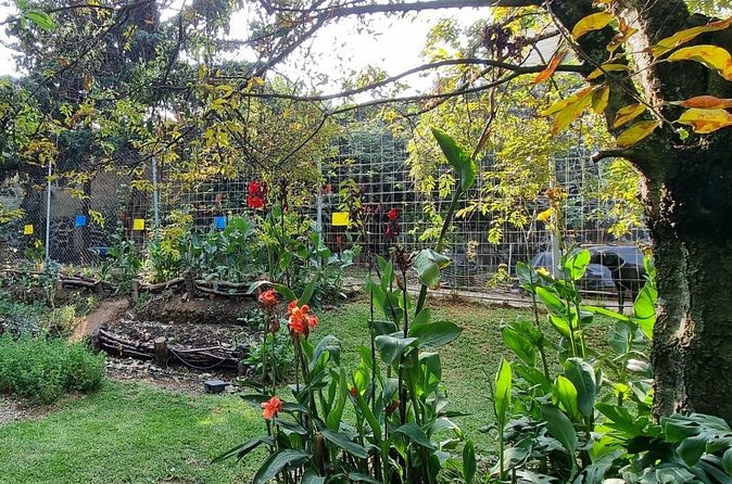 Urban Orchard in Desierto de los Leones in Mexico City - What the included refreshments really change