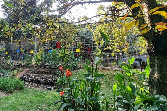 Urban Orchard in Desierto de los Leones in Mexico City - Price and value: $75 for a full sensory, food-linked experience