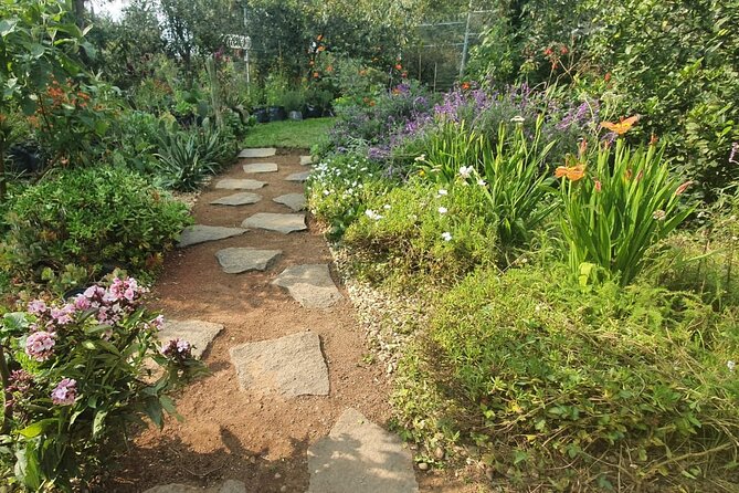 Urban Orchard in Desierto de los Leones in Mexico City - Rubén and David’s “why it works” garden story