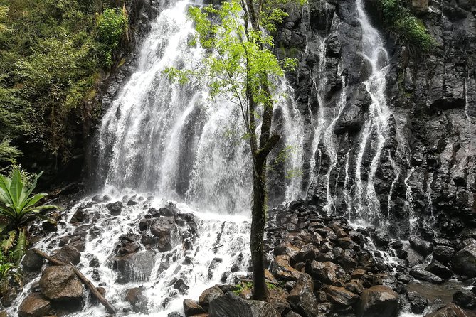 Valle de Bravo: Private & Small group tour from Mexico City - Price and Value: Is $139.51 a Good Deal?