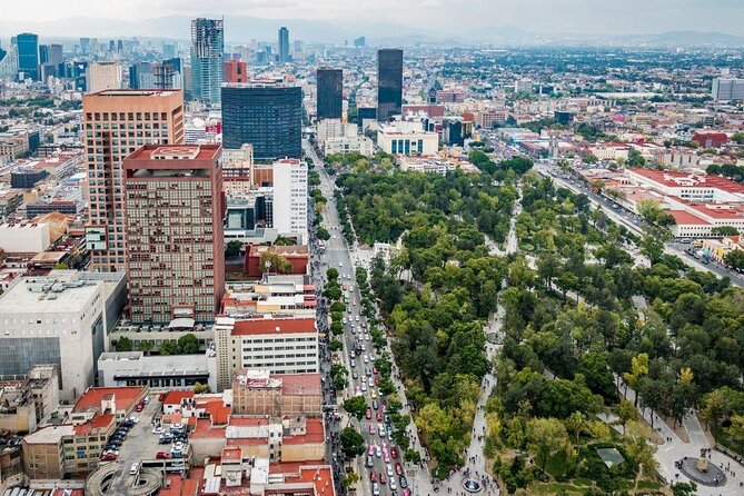 Walking Tour in Historic Center CDMX - Key highlights you’ll feel right away