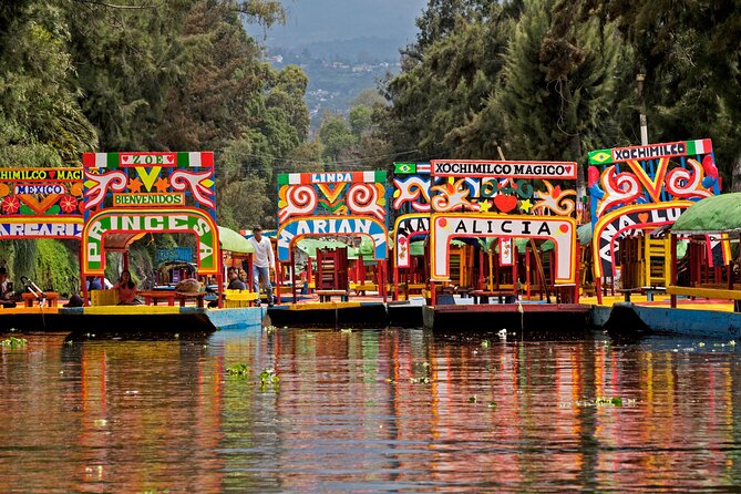 Xochimilco and Coyoacan and Frida Kahlo Museum optional - On the Water in Xochimilco: Private Trajinera, Music, and Floating Flowers