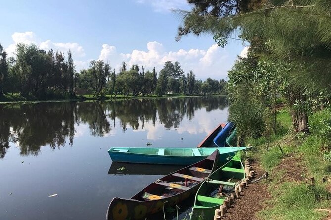 Xochimilco at dawn in Canoe or Kayak and Organic Breakfast - Price and value: how $118.93 holds up for what you get