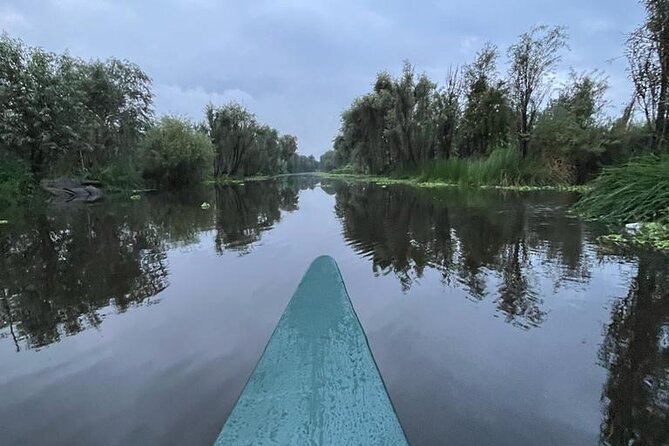 Xochimilco at dawn in Canoe or Kayak and Organic Breakfast - What to wear, bring, and plan for so the morning goes smoothly
