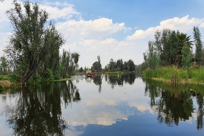 Xochimilco Barco Fiesta Tentacion 18+ with Open Bar and Tacos - Value check: is $59 worth it for an open-bar canal party?