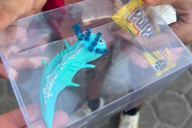 Xochimilco Boat Ride with Kids - Snacks, Water, and the Real-Life Details That Matter