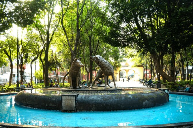 Xochimilco, Casa de Frida Kahlo, Coyoacán and UNAM - Price and value: what $52.54 really buys you for an 8-hour day