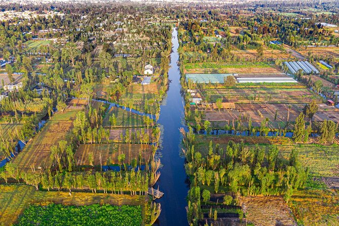 Xochimilco, Coyoacan and Frida Kahlo Museum Tour - Xochimilco by Trjinera: Slow Canals, Included Bites, and Boat Traffic