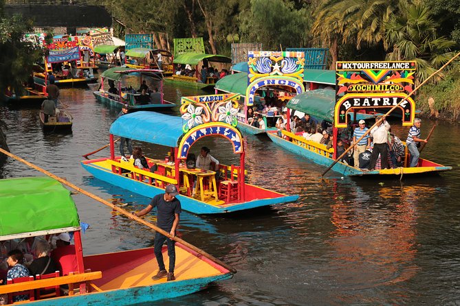 Xochimilco, Coyoacan and Frida Kahlo with Optional Lunch - Key things you’ll notice on this tour
