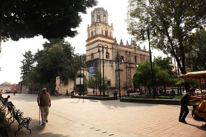 Xochimilco, Coyoacan and Frida Kahlo with Optional Lunch - Smart planning: how to make the long day feel worth it