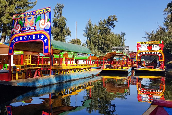 Xochimilco, Coyoacan, Aztec Stadium & UNAM - Four Stops, One Long Mexico City Day
