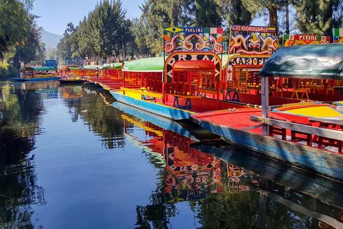 Xochimilco, Coyoacan, Aztec Stadium & UNAM - Ciudad Universitaria (UNAM): Murals, Architecture, and Photo Power