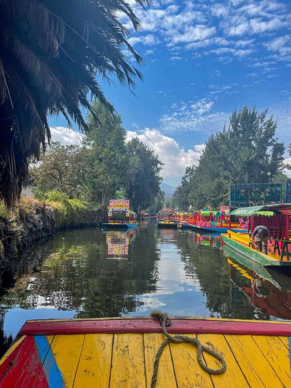 Xochimilco + Coyoacán Combo Full-Day Tour - Quick Takeaways Before You Go
