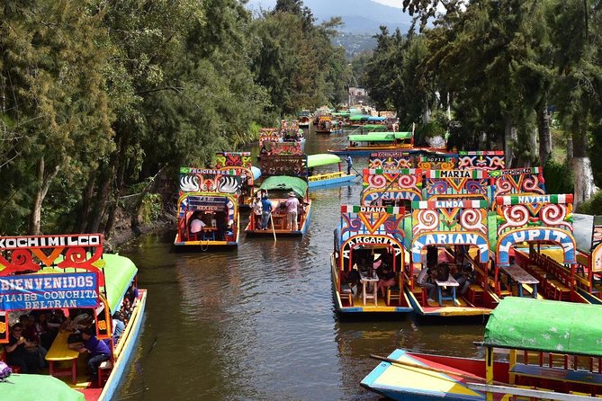 XOCHIMILCO & COYOACAN (Private) - Stop 2: Coyoacán Neighborhood Time and Real-World Walking