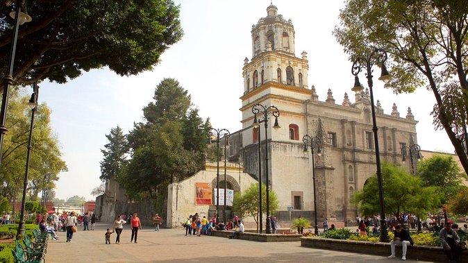 XOCHIMILCO & COYOACAN (Private) - Price and Value: What $129 Actually Buys You