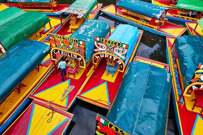 Xochimilco - Coyoacan Tour - Key points before you go