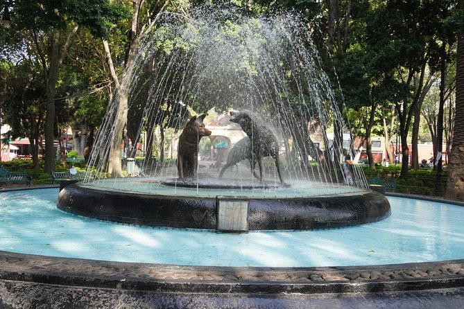 Xochimilco & Coyoacan with Frida Kahlo Private Tour - Timing Tips: Lines, Restrictions, and Avoiding Waiting Around