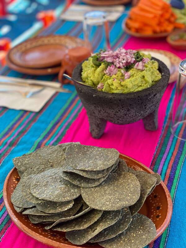 Xochimilco: Eco Tour With Food - The chinampa visit: learning from how crops are planted and tended