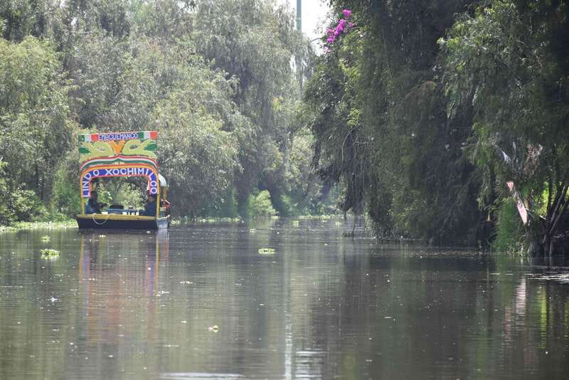 Xochimilco Ecological Tour – Away From the Crowds (3 Hours) - Key highlights you’ll feel right away