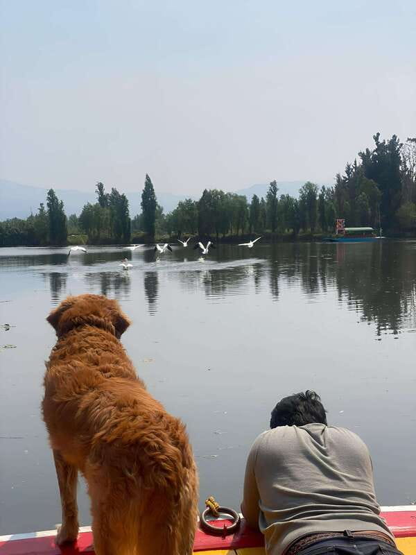 Xochimilco Ecological Tour – Away From the Crowds (3 Hours) - Who should book this tour (and who should skip it)