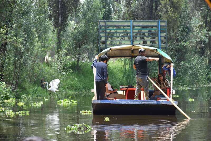 Xochimilco Ecological Tour – Away From the Crowds (3 Hours) - The chinampa lesson: farming, waterways, and native plants