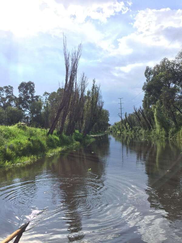 Xochimilco Ecological Tour – Away From the Crowds (3 Hours) - Axolotl sanctuary stop: what you’re there to learn