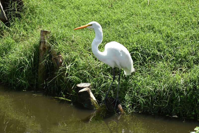 Xochimilco Ecological Tour – Away From the Crowds (3 Hours) - Guide power: Gabriel, Fernanda, and the value of small-group pacing