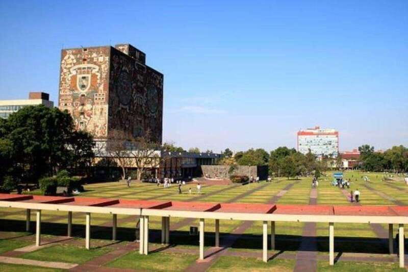 Xochimilco floating gardens, Coyoacan and UNAM murals - Price and pacing: does $55 feel fair for what you get?