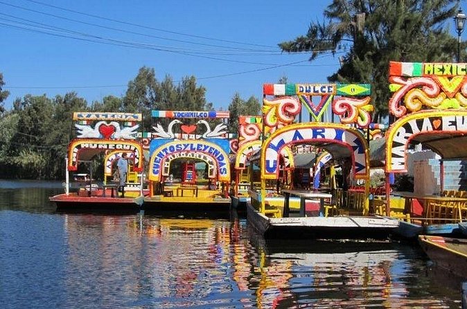 Xochimilco + Museo Anahuacalli (add-on) PET-FRIENDLY - Museo Diego Rivera Anahuacalli: volcanic rock, artifacts, and expectations