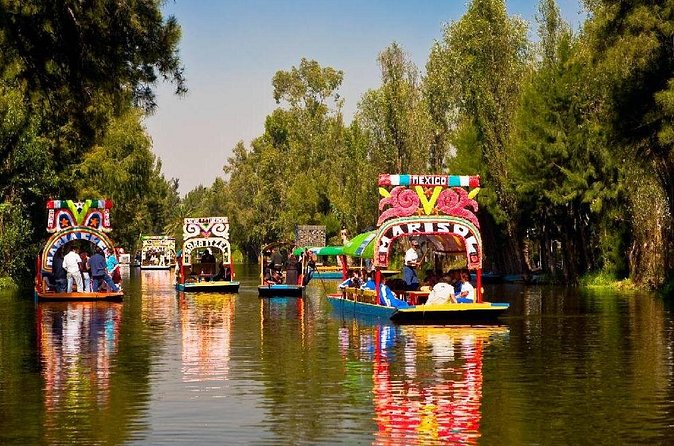 Xochimilco + Museo Anahuacalli (add-on) PET-FRIENDLY - Practical tips before you go