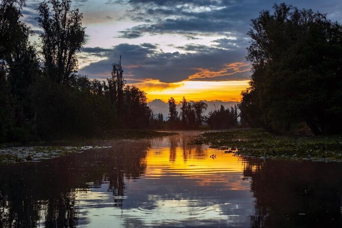 Xochimilco Sunrise from Mexico - Gliding the canals at sunrise on a trajinera