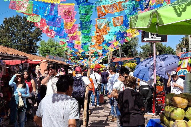 Xochimilco without Traps for Tourists BS"D - The 1-hour trajinera ride on Canoas el Chango: what you actually see